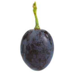 Grape